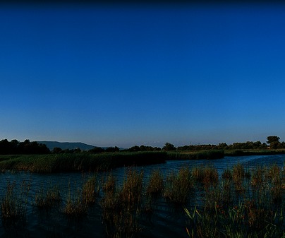 parque nacional de las tablas de daimiel entre daimiel y villarrubia de los ojos ciudad real 1