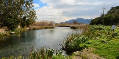 Parque Natural de la Marjal Pego-Oliva. Autor: GVA.