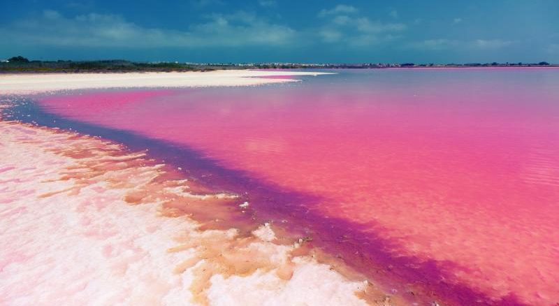 Laguna de Torrevieja