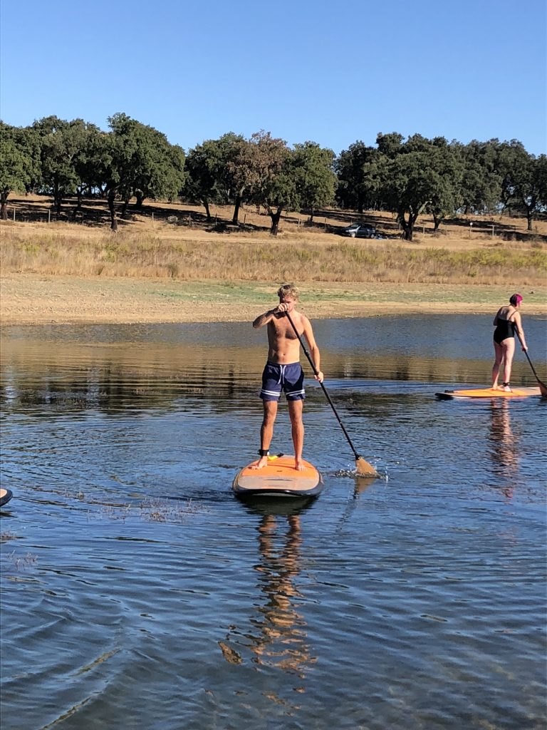 Paddle Surf