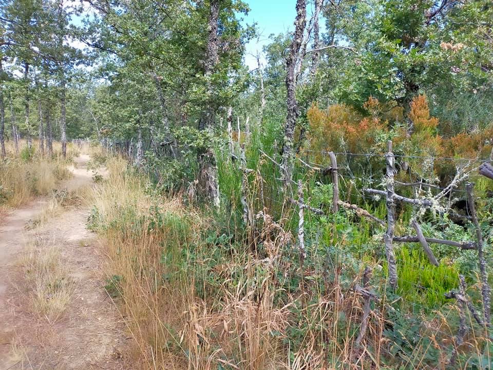 Astorga-Foncebadón: parte llana de la etapa del Camino