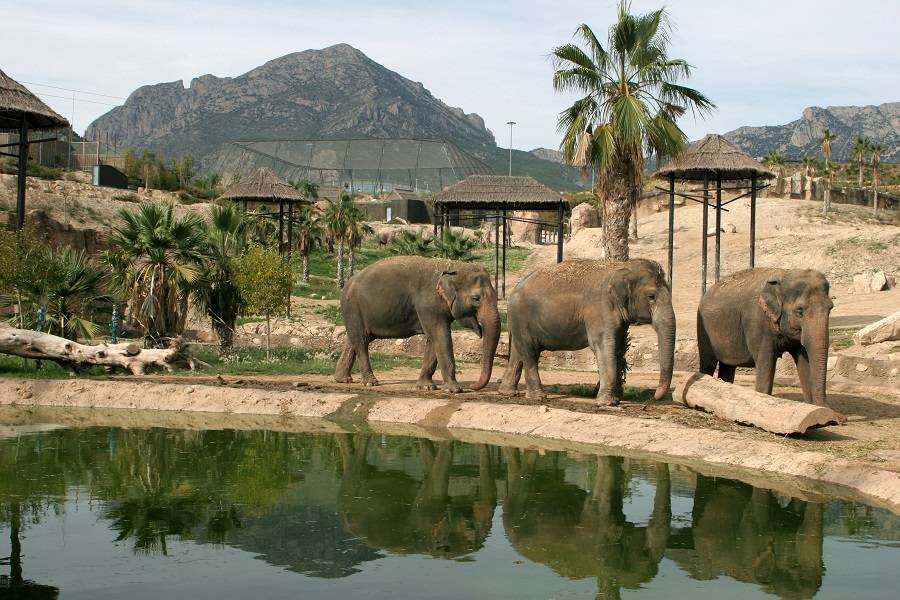 Benidorm Terra Natura