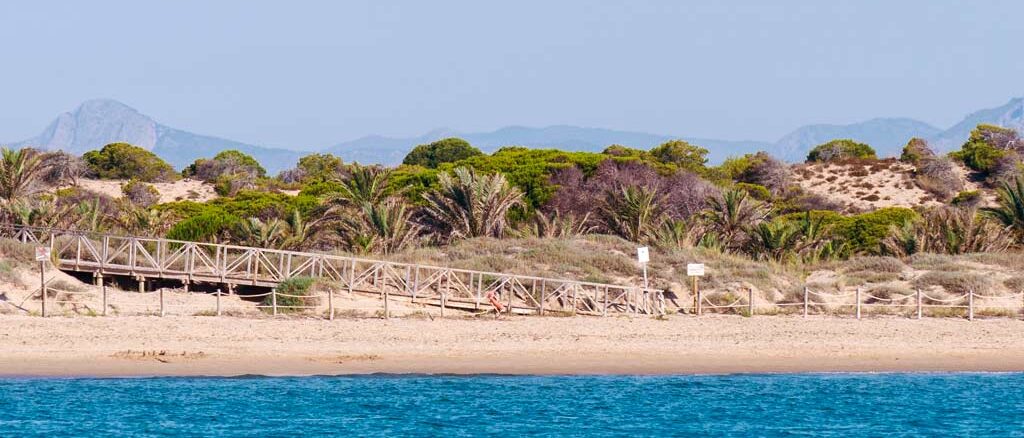 Playa Els Tossals (Guardamar)