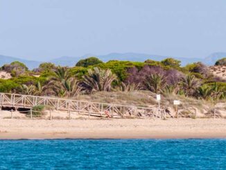 Las 8 mejores playas de Guardamar (Alicante), naturales, urbanas, tranquilas... 1 Playa Els Tossals (Guardamar)