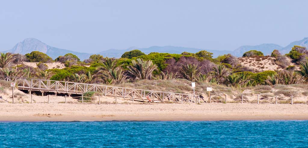 Playa Els Tossals (Guardamar)