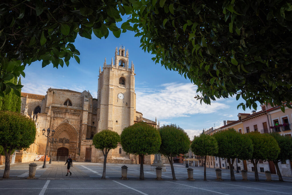 La Catedral de Palencia