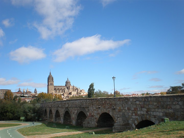 Puente Romano de Salamanca 2