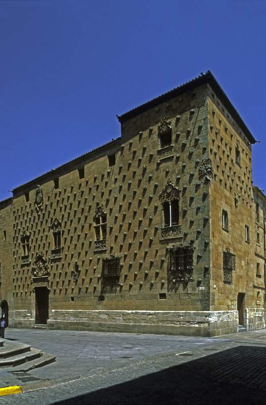 Salamanca Casa de las Conchas buena