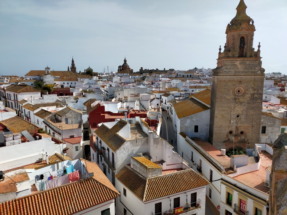 Vista Carmona desde alcazar