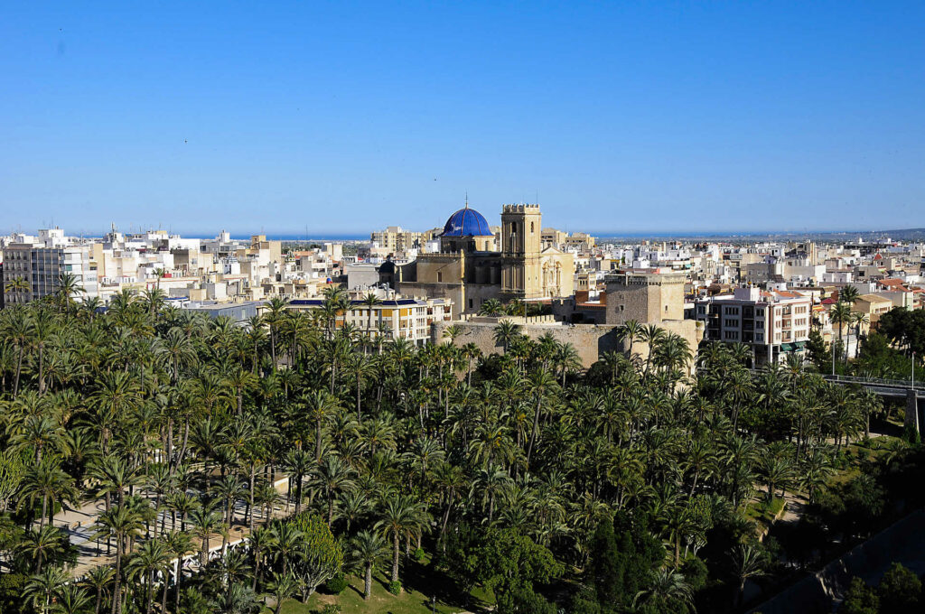 Vista de Elche y el Palmeral