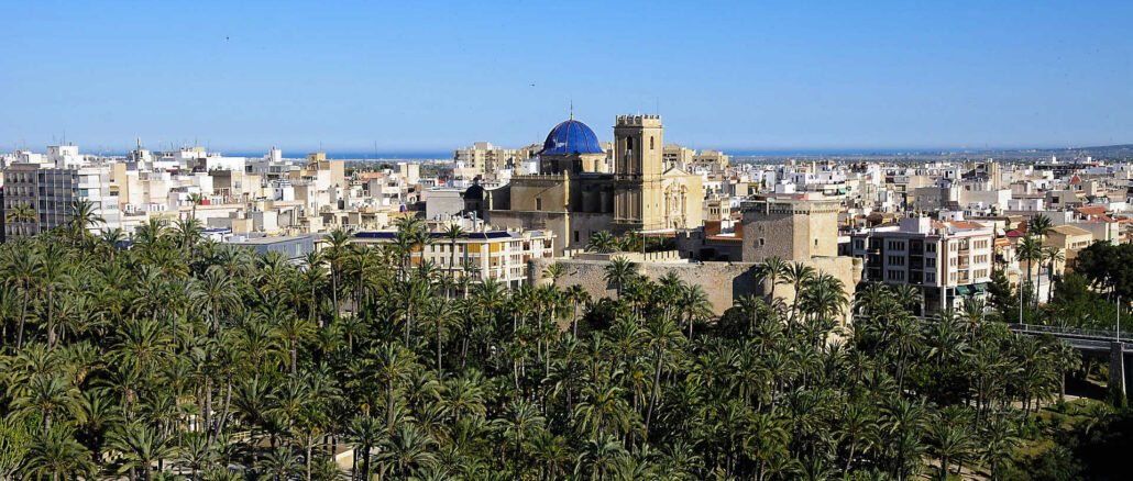 Vista de Elche y el Palmeral