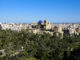 Vista de Elche y el Palmeral