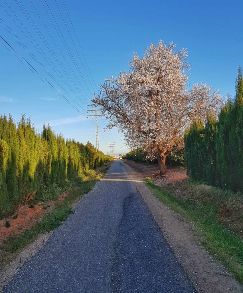 Via Verde Denia