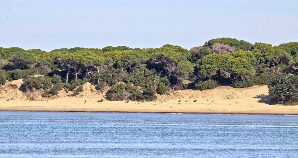 Espacio natural del Parque Nacional de Doñana.