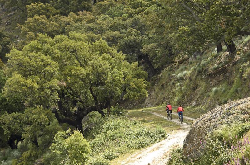 Cicloturismo en la Sierra de Francia 1 1