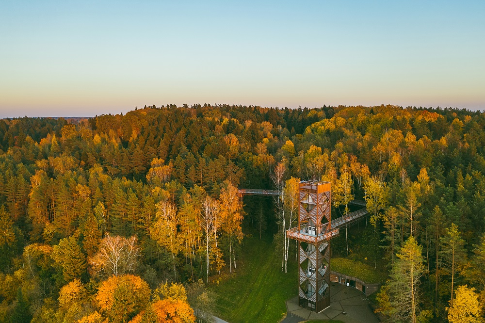 PORTADAAnyksciai Treetop Walking Path ©Andrius Aleksandravicius Lithuania Travel