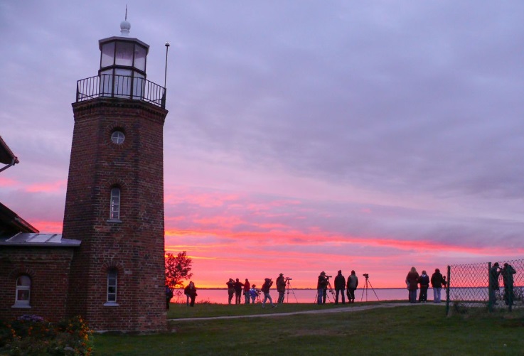 SQVCape Vente ©Lithuania Travel