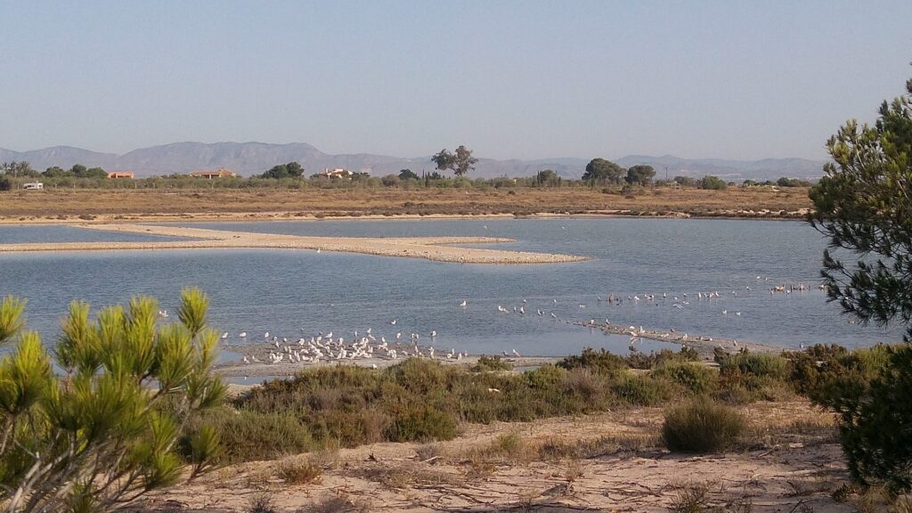 Las salinas de Santa Pola