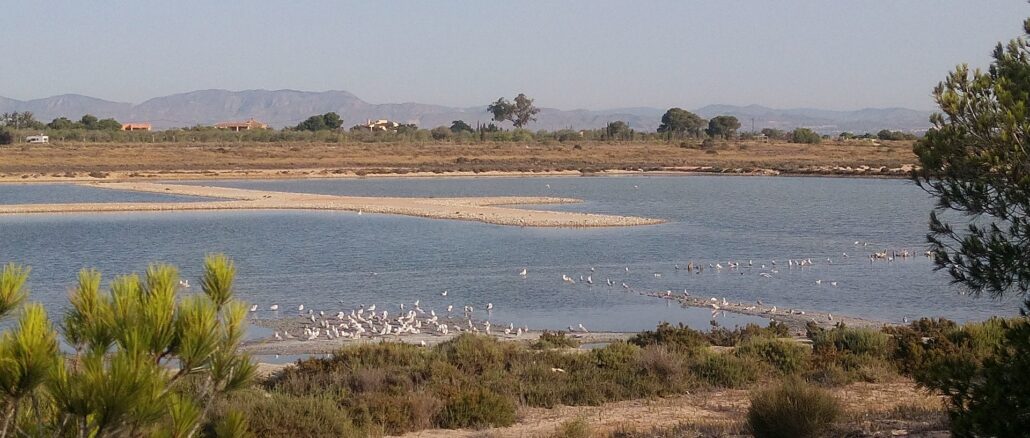 Las salinas de Santa Pola