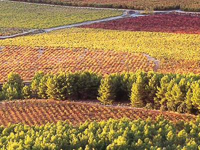 Bullas (Turismo Región de Murcia)