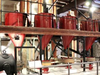 Descubre la historia y el encanto del Museo del Arroz en Valencia 10 Blanqueadoras del Museo del Arroz