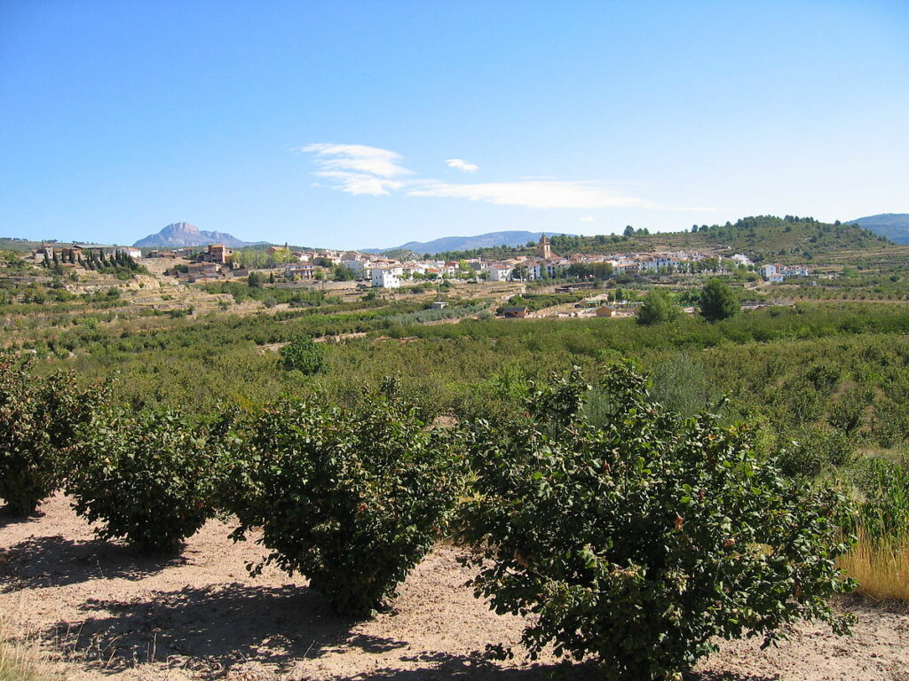 Vista de Zucaina (Castellón)