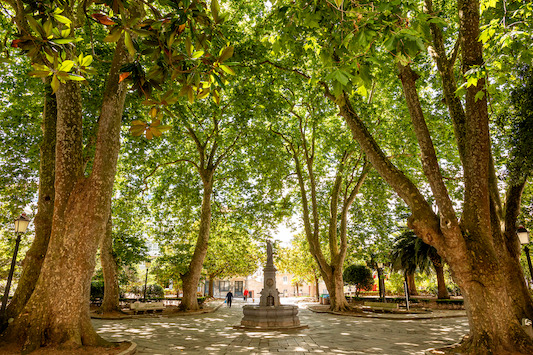 Plaza de Azcárraga (A Coruña)