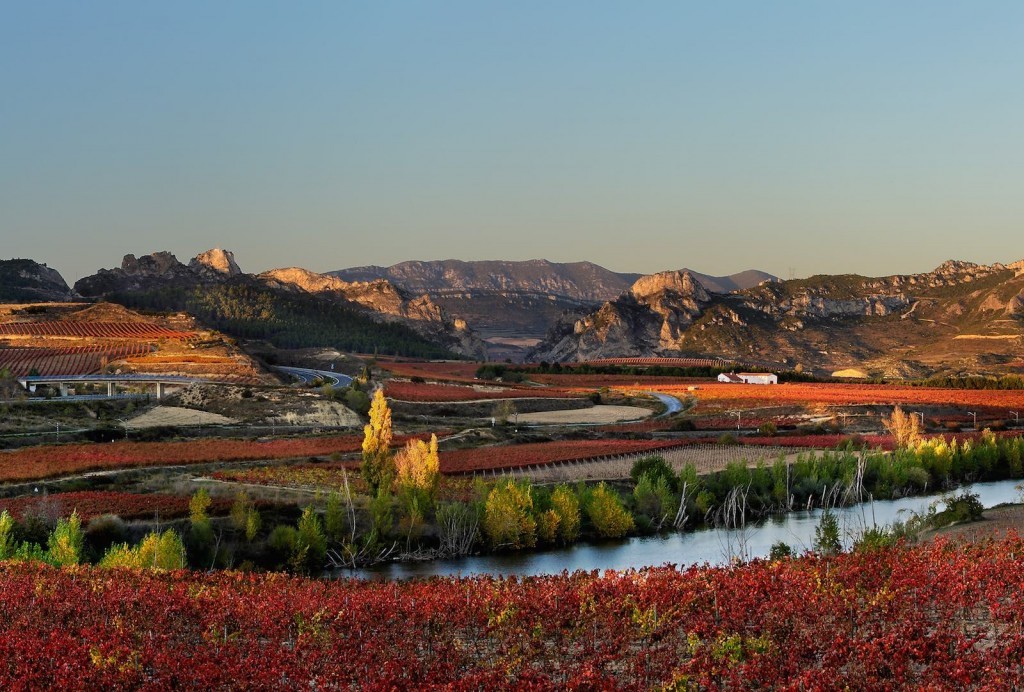 Vistas de Haro (La Rioja)