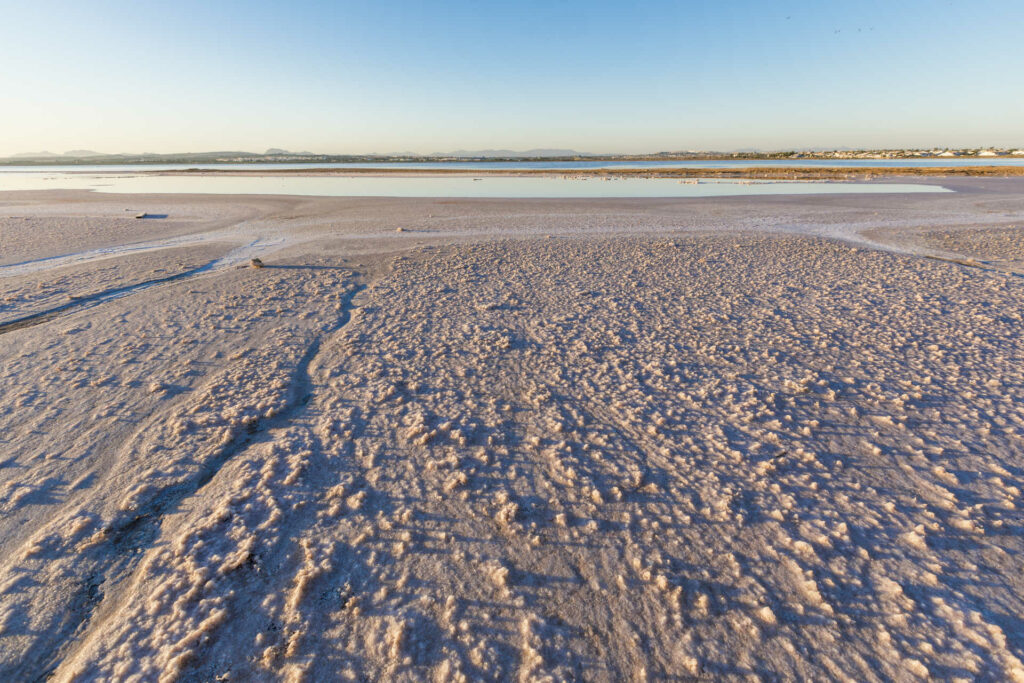 Lagunas de la Mata y Torrevieja. Autor: GVA