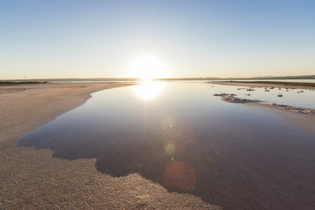 Laguna de Torrevieja