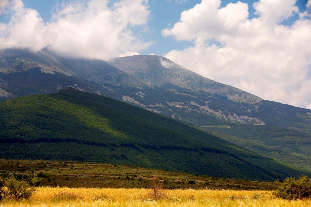 Parque Natural del Moncayo (Zaragoza)