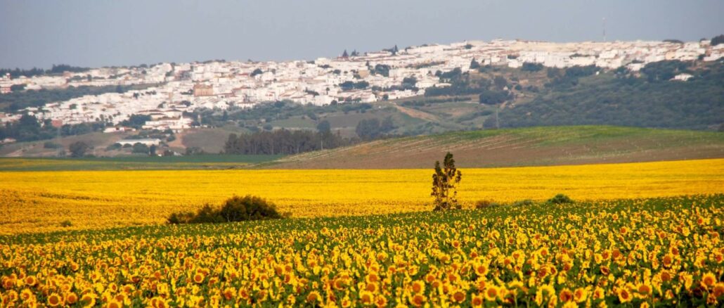 Benalup Casas Viejas. Turismo de Cádiz.