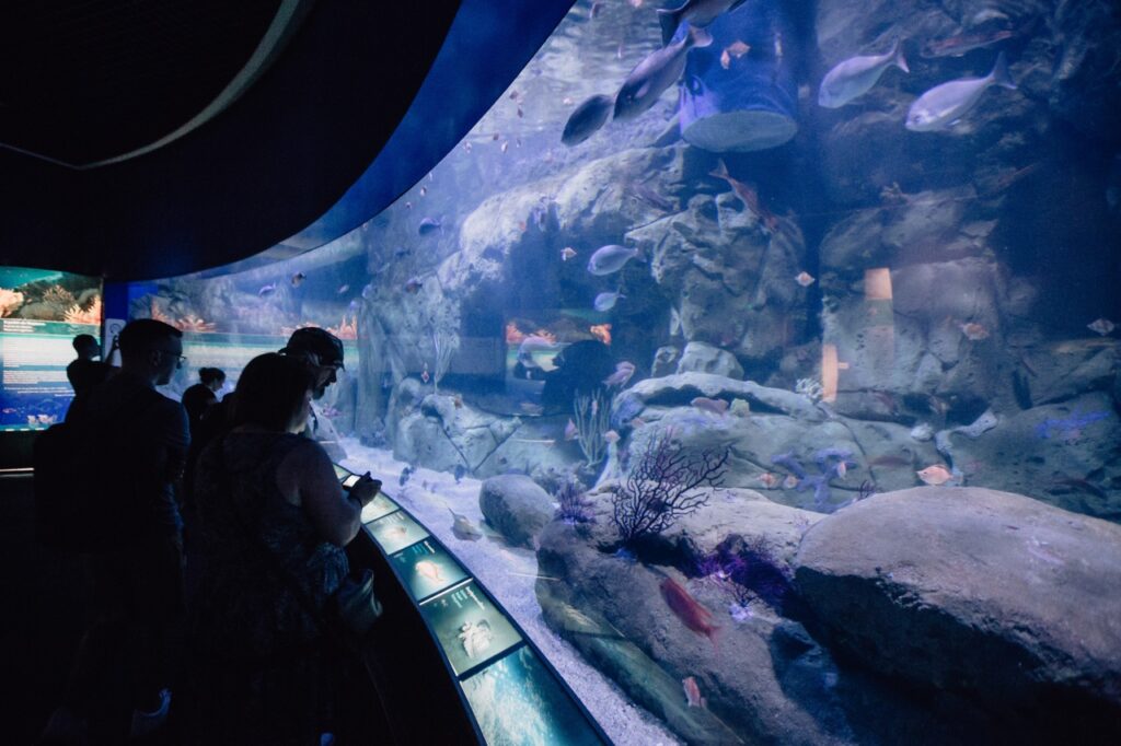 Oceanogràfic de Valencia.