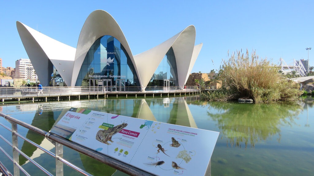 Restaurante submarino del Oceanogràfic de Valencia.