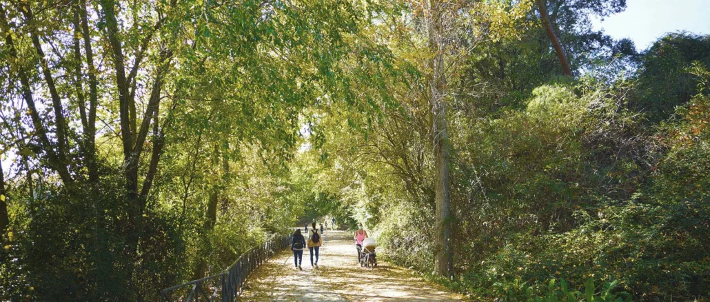 Senda Mágica de Arroyomolinos.