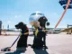 Perros en un aeropuerto. Pexels.