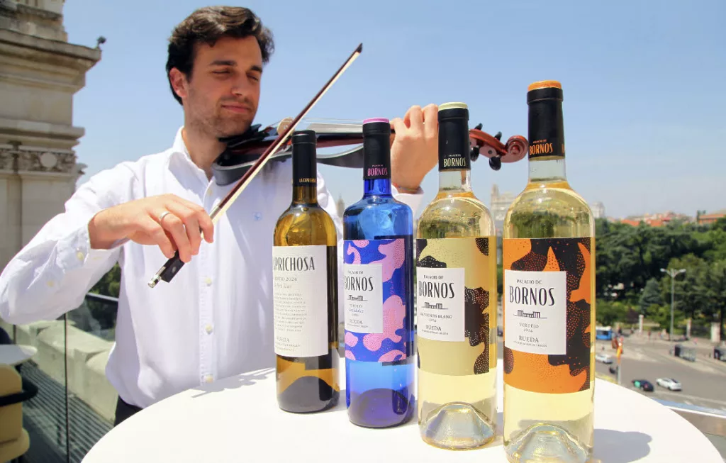Violinista1