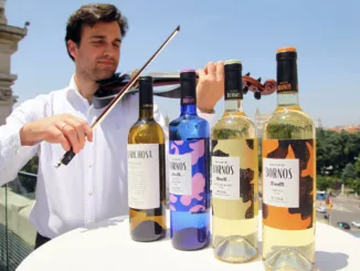 La bodega Palacio de Bornos presenta su nueva imagen en la terraza del Palacio de Cibeles en Madrid 1 Violinista1