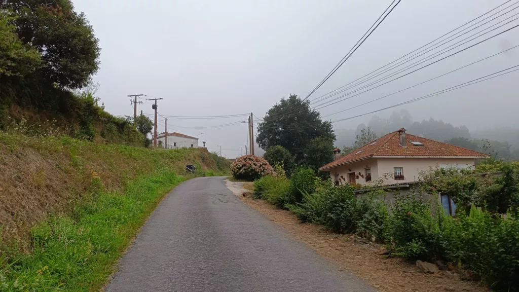 El Camino Inglés: entre bruma, bosques y rías 3 Camino 2