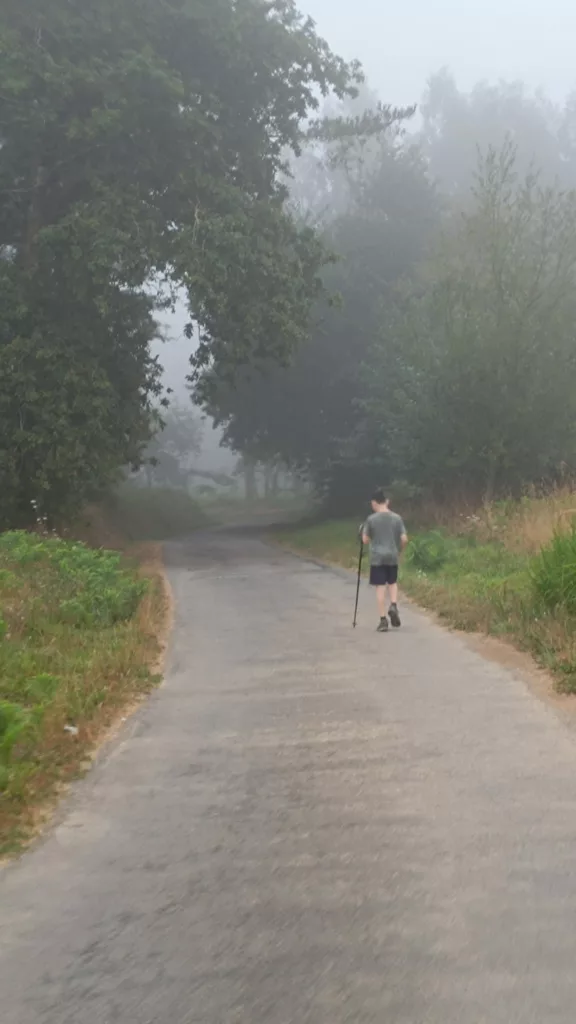 El Camino Inglés: entre bruma, bosques y rías 5 Camino entre bruma 3