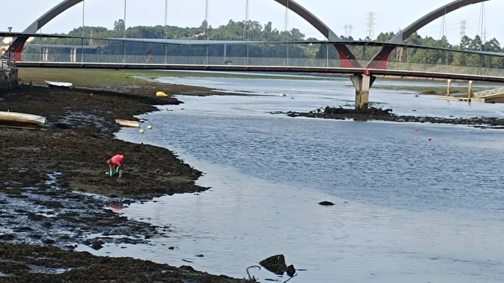 El Camino Inglés: entre bruma, bosques y rías 2 ria con pescadora 1
