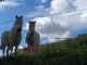 Camino de Baztán: belleza y soledad entre Bayona y Pamplona 3 Caballos salida Urdaz