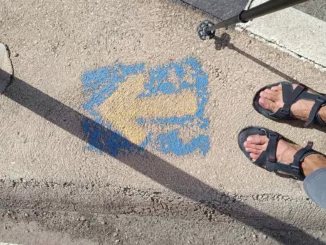 El Camino de Santiago de la Lana. Imagen: SQV